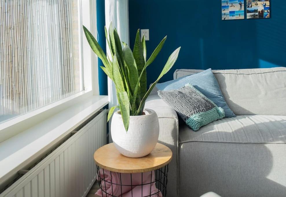 Holiday home Huis Duinzicht